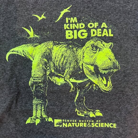 Dinosaur TREX Denver Nature and Science Museum Glow Shirt Green Gray Youth Small - Picture 11 of 12